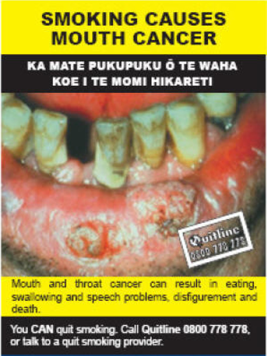 NZ 2008 Health Effects mouth - diseased organ, mouth & throat cancer, gross